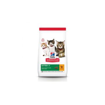 Hills SP Feline Kitten Cu Pui 1.5 kg