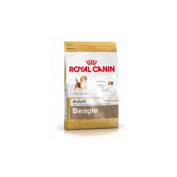 Royal Canin Beagle Adult 3 kg