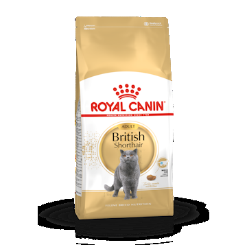 Royal Canin British Shorthair Adult 10 kg