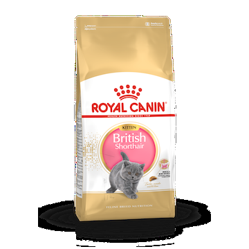 Royal Canin British Shorthair Kitten 10 kg