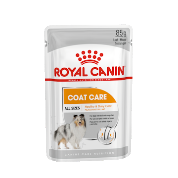 Royal Canin Coat Care Dog Loaf 85 g