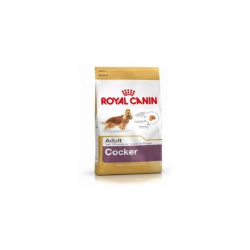 Royal Canin Cocker Adult 3 kg