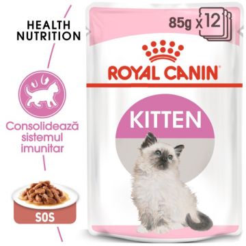 Royal Canin Kitten In Gravy 85 g, Royal Canin