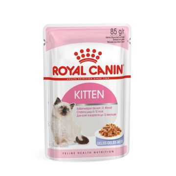 Royal Canin Kitten in Jelly 85 g