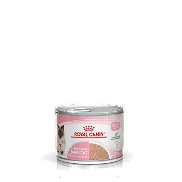 Royal Canin Mother Babycat Conserva 195 g