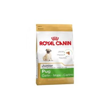 Royal Canin Pug (Mops) Puppy 1.5 kg