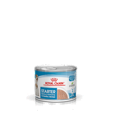 Royal Canin Starter Mousse 195 g