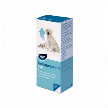 Viyo Recuperation Dog Flacon 150 ml