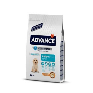 Advance Dog Maxi Puppy Protect 3 kg