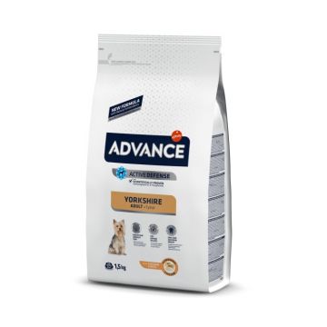 Advance Dog Yorkshire Terrier 1.5 kg