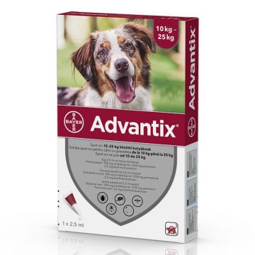 Advantix 250 Caini 10-25 kg, Bayer