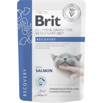 Brit Grain Free Veterinary Diets Cat Recovery, 85 g