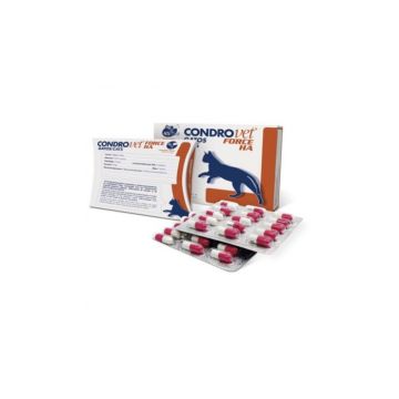 Condrovet Force HA 45 capsule Pisica