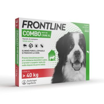 Frontline Combo Dog XL (peste 40 kg) - 1 Pipeta