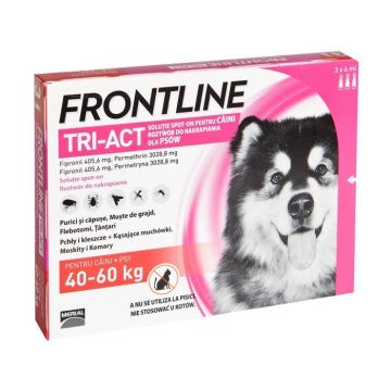 Frontline Tri-Act Dog XL (40-60 kg) - 1 Pipeta