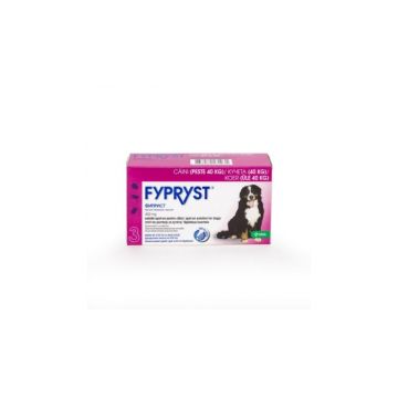 Fypryst Dog XL 40-60kg - 1 pipeta