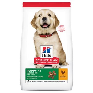 Hills SP Canine Puppy Large Breed cu Pui 14.5 kg