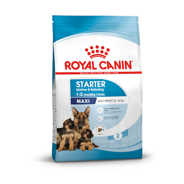 Royal Canin Maxi Starter MotherBabydog 15 kg