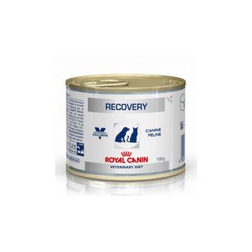 Royal Canin Recovery Cat Dog 195 g