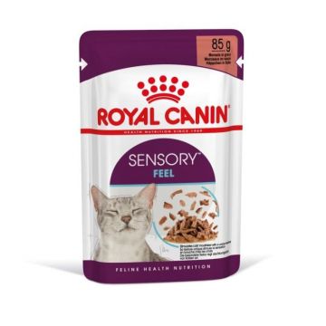 Royal Canin Sensory Feel Gravy Plic 12x85g