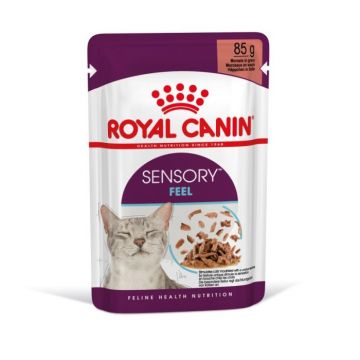 Royal Canin Sensory Feel Gravy Plic 85g