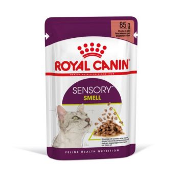 Royal Canin Sensory Smell Gravy Plic 85g