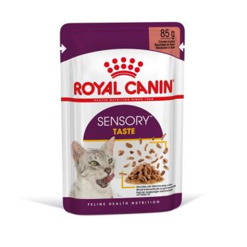 Royal Canin Sensory Taste Gravy Plic 12x85g