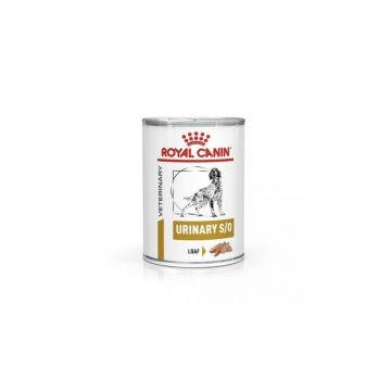 Royal Canin Urinary S O Dog Conserva 410 g