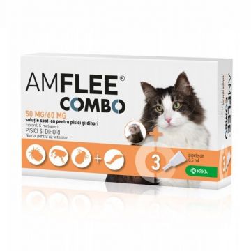 Amflee Combo Cat, 50 mg x 3 pipete