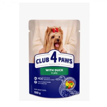 Club 4 Paws, Hrana umeda pentru caini talie mica - rata in jeleu, set 24 100g