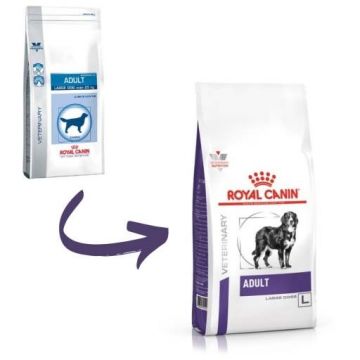 Royal Canin Adult Large Dog 13 kg