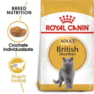 Royal Canin British Shorthair Adult hrana uscata pisica, 10 kg