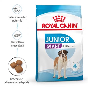 Royal Canin Giant Junior hrana uscata caine junior etapa 2 de crestere, 3.5 kg