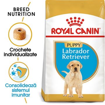 Royal Canin Labrador Puppy hrana uscata caine junior, 1 kg