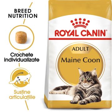 Royal Canin Maine Coon Adult hrana uscata pisica, 10 kg