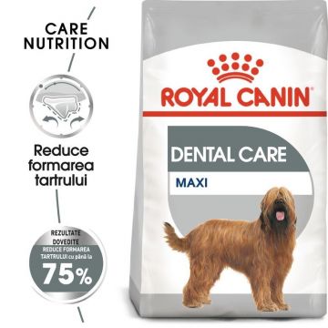 Royal Canin Maxi Dental Care Adult hrana uscata caine, reducerea formarii tartrului, 3 kg