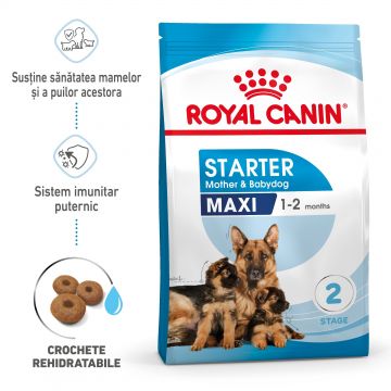 Royal Canin Maxi Starter Mother & Babydog, mama si puiul, hrana uscata caine, 4 kg