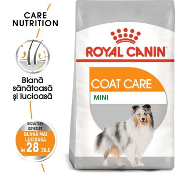 Royal Canin Mini Coat Care Adult hrana uscata caine, blana sanatoasa si lucioasa, 3 kg