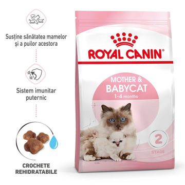 Royal Canin Mother & BabyCat hrana uscata pisica, mama si puiul, 4 kg