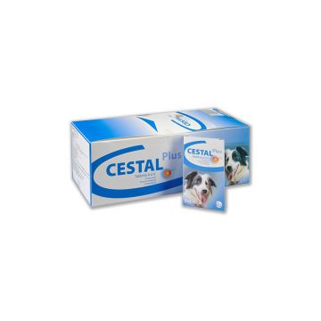 CESTAL PLUS CHEW- Cutie 8 Tablete