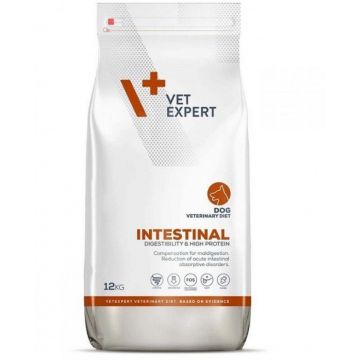 DIETA VETERINARA INTESTINAL DOG, VETEXPERT, 12 KG