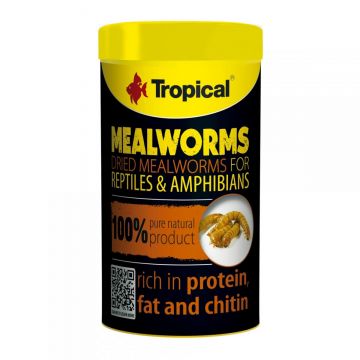 MEAL WORMS- TERRARIUM FOOD- 13G