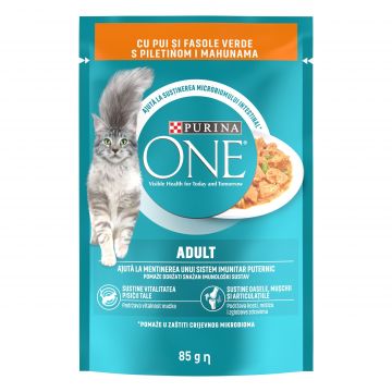 PURINA ONE ADULT, mini fileuri cu Pui si Fasole Verde in sos, 85 g