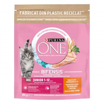 PURINA ONE Junior, Pui si Cereale Integrale, hrana uscata pisici junior, 800 g