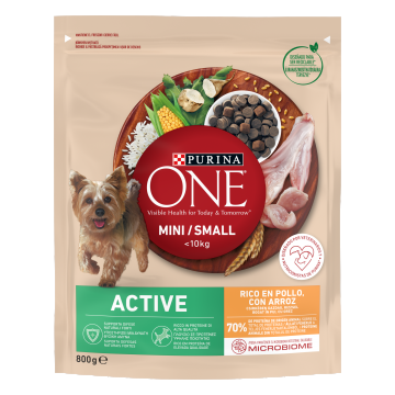 PURINA ONE MINI Active, Pui si Orez, hrana uscata pentru caini, 800 g