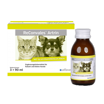 Supliment care susține metabolismul articular în osteoartrita, caini si pisici, Reconvales ARTRIN, Alfavet, 90 ml