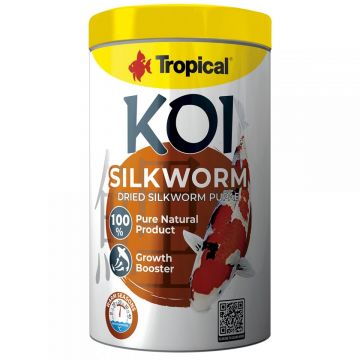 TROPICAL-Fish-KOI SILKWORM PUPAE-330G