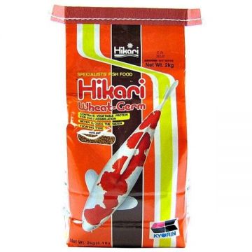 Dieta usor de asimilat pentru pestii de iaz, HIKARI WHEAT GERM, MEDIUM, 2kg