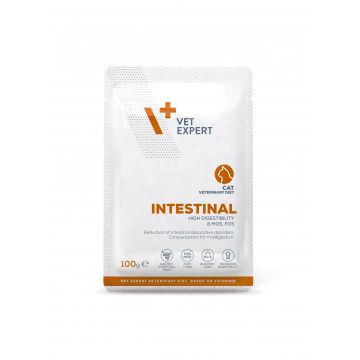 Dieta Veterinara pentru pisici Intestinal Cat, VetExpert, plic, 100g