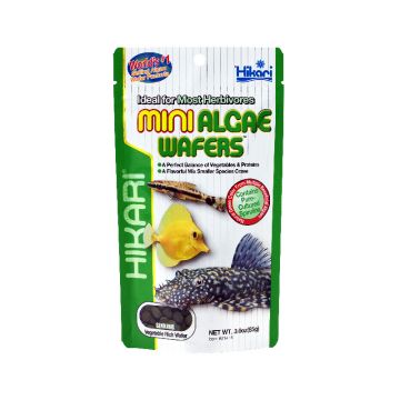 Hrana pentru pesti ierbivori, Plecostomus, Hikari Algae Wafers, 85g